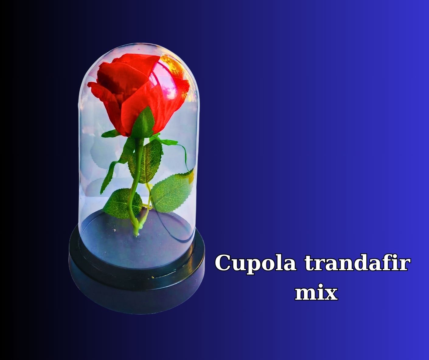 Cupola trandafir mix