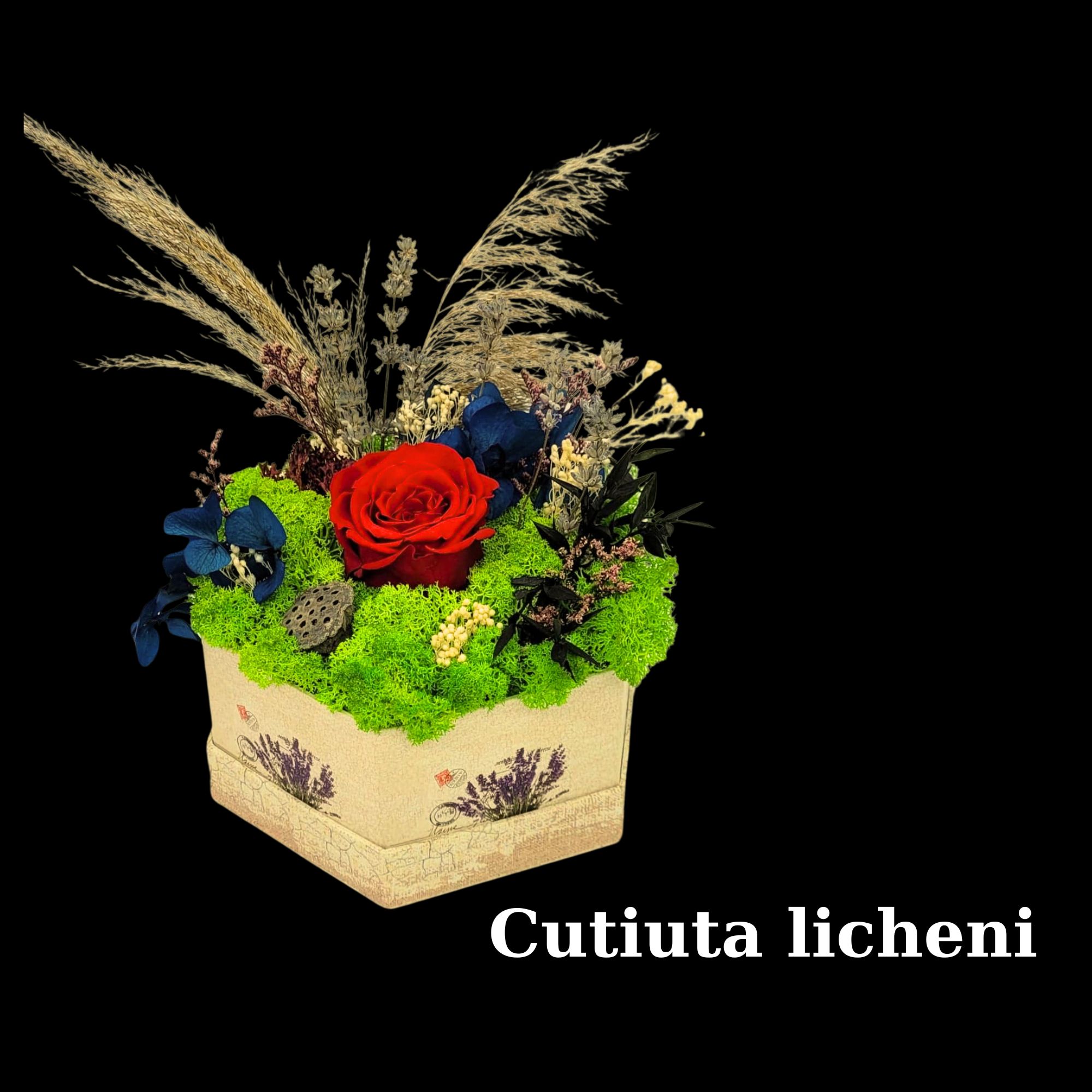 Cutie cu licheni
