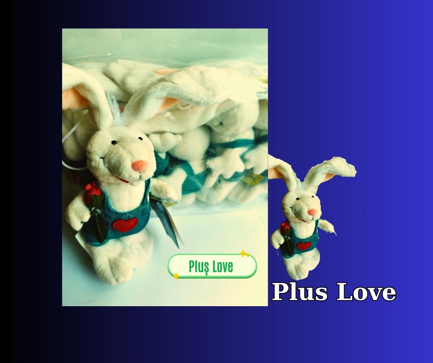 Plus love