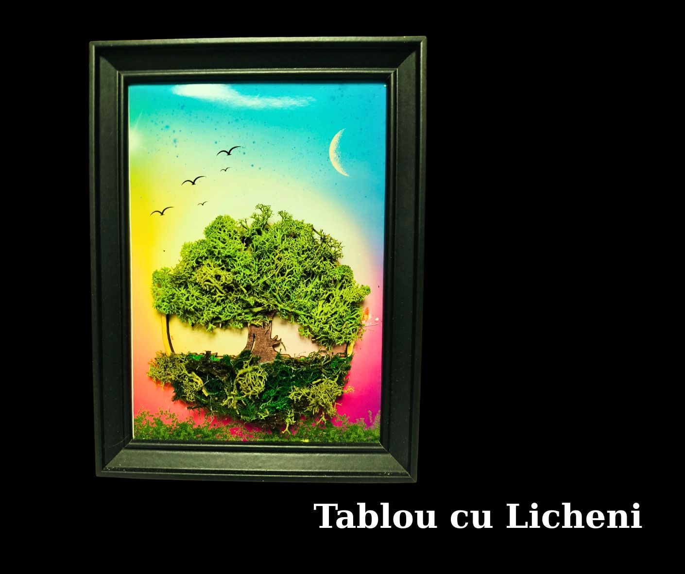 Tablou Art licheni