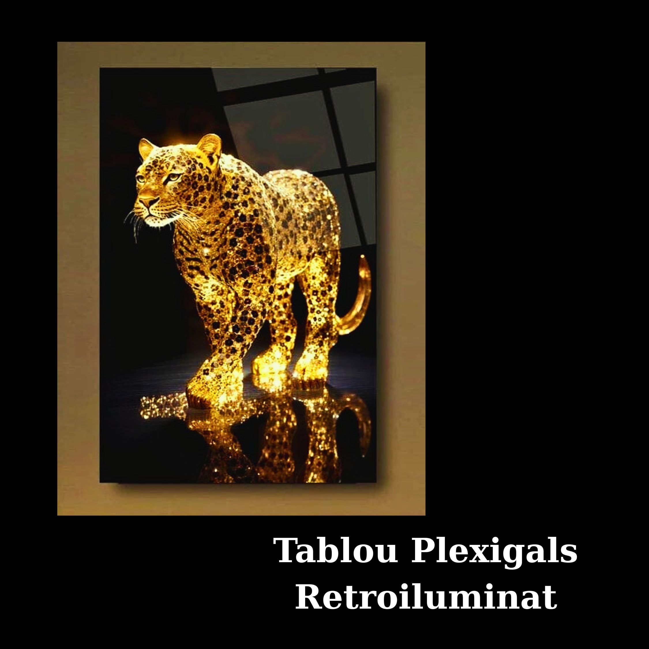 Tablou plexiglas retroiluminat