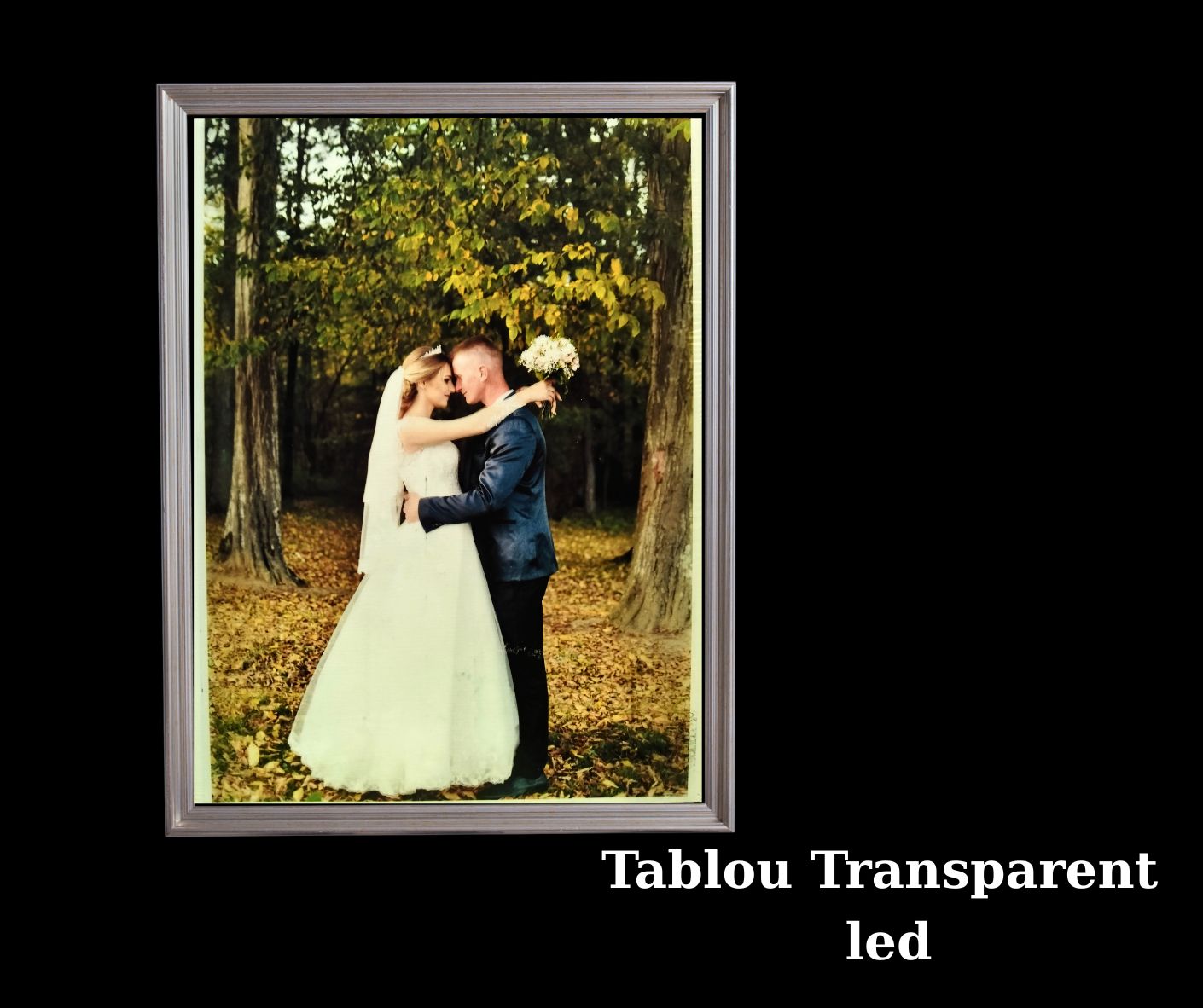 Tablou transparent led